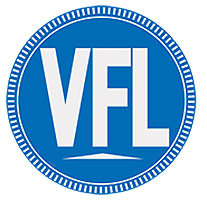 VISION FOR LIFE LOGO